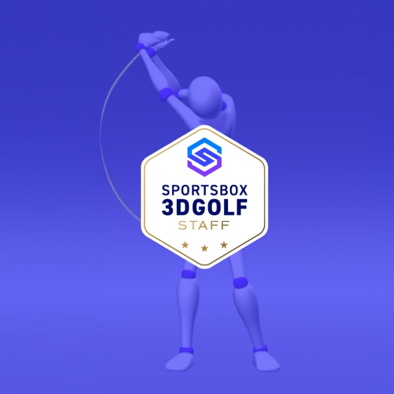 Single 3D Sportsbox Swing Analysis